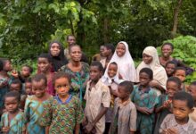All Kidnapped Oyo Pupil and Teachers finally Rescued