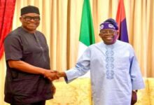 Tinubu appoints Fayose REA chairman