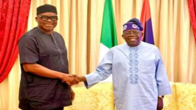 Tinubu appoints Fayose REA chairman