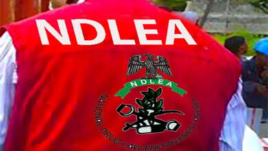 NDLEA Ogun meth lab