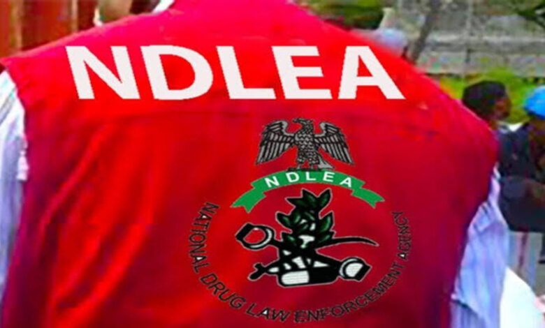 NDLEA Ogun meth lab
