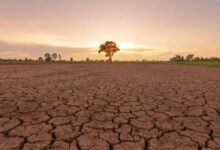 El Niño weather