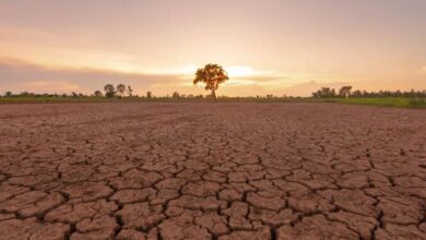 El Niño weather