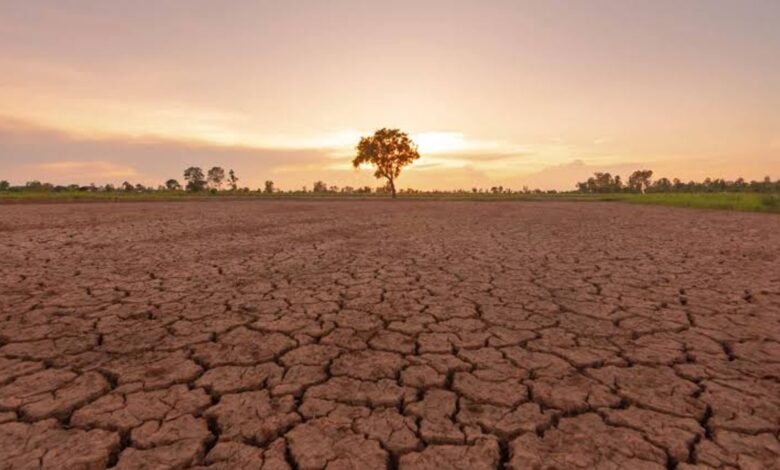 El Niño weather
