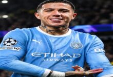Enzo Fernandez